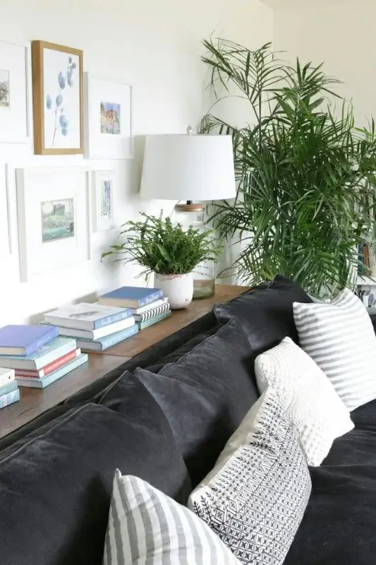 Narrow console shelf behind black sofa styled with stacked books, indoor plants, table lamp, and gallery wall for modern behind the couch decor