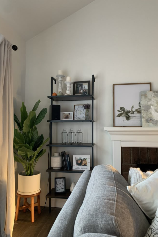 Monochrome styled living room built-in shelves with black-and-white photos, minimalist books, and personal decorative accents.