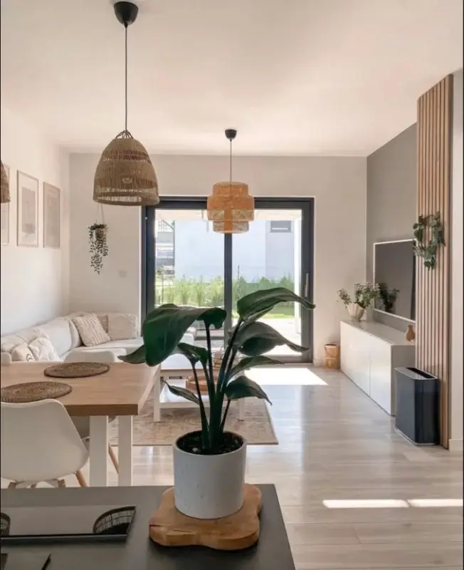 house plant interior design with one plant adding balance and warmth to the space