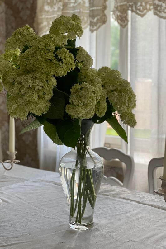 Green hydrangeas in a clear glass vase for a simple summer dining table centerpiece