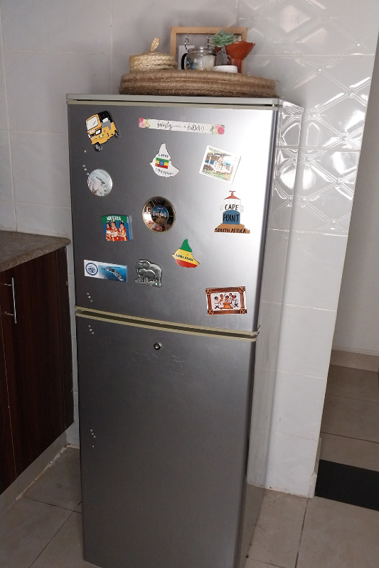 Fridge decor ideas with travel magnets on the upper door and a styled rattan tray on top