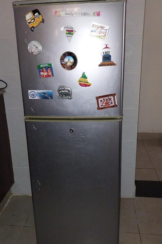 Travel fridge magnet decor arranged on the upper door of a stainless steel refrigerator